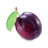 _plum _plum.jpg